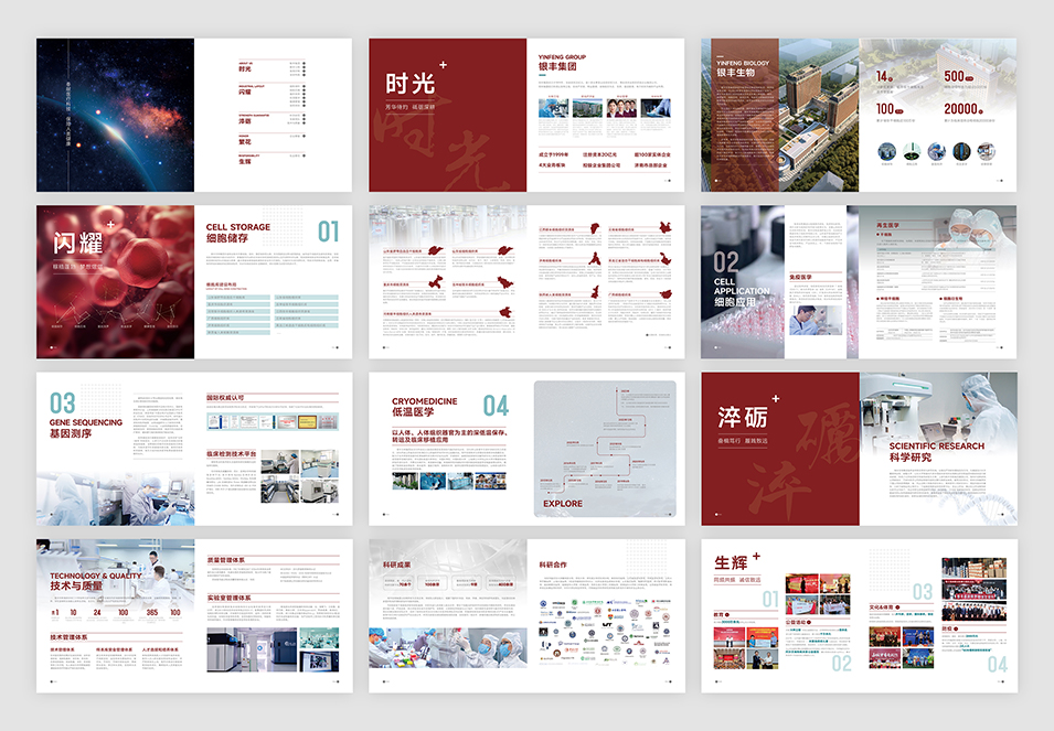 银丰生物集团企业画册设计