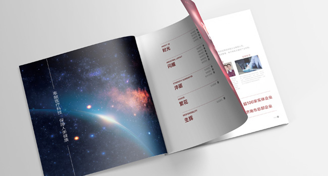 银丰生物集团企业画册设计