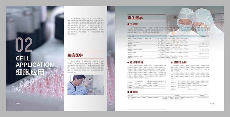 画册结构视觉双开挂