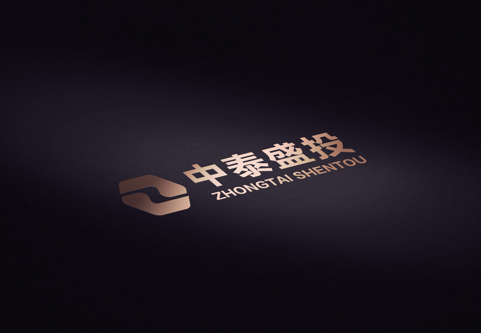 中泰盛投logo设计