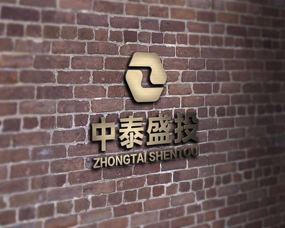 中泰盛投logo设计