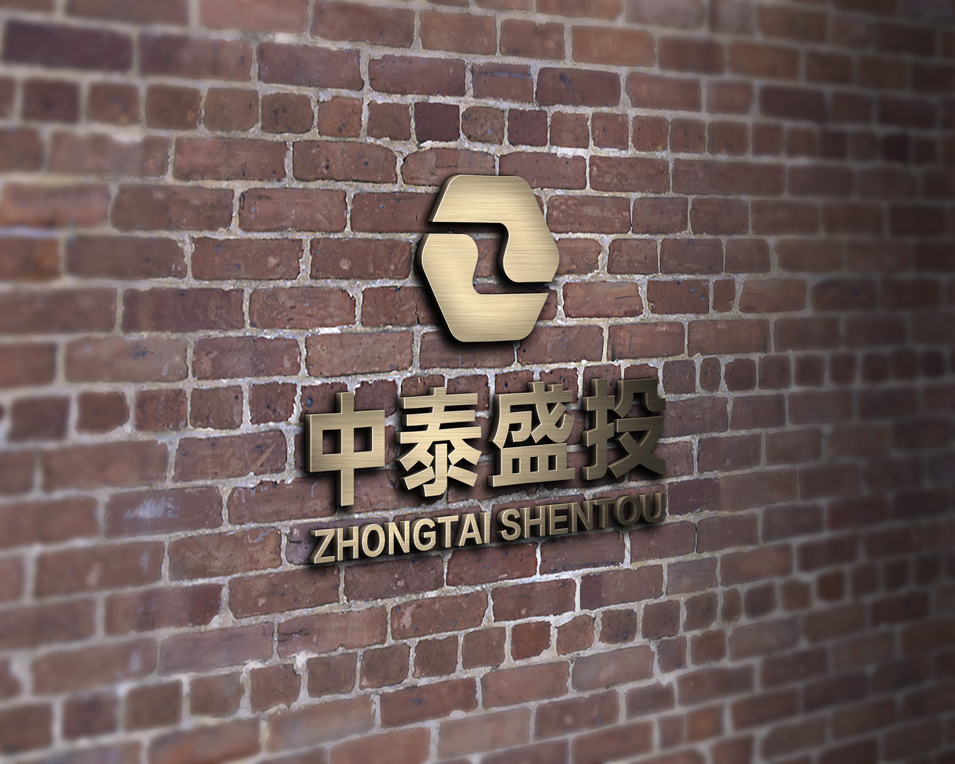 中泰盛投logo设计