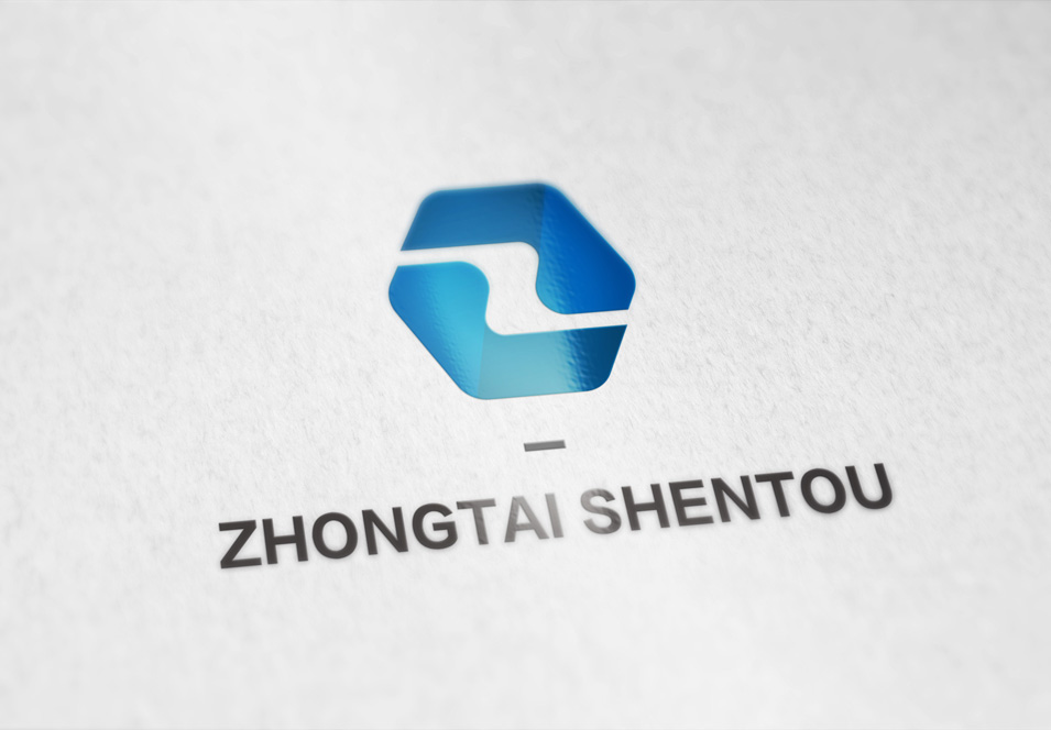 中泰盛投logo设计